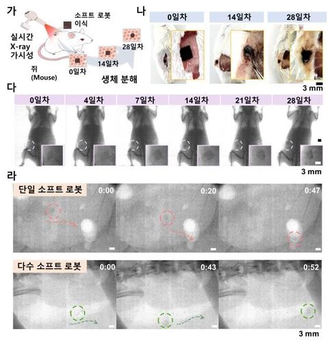 연합뉴스