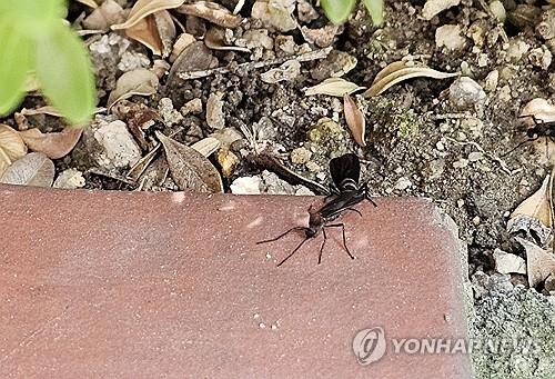 연합뉴스