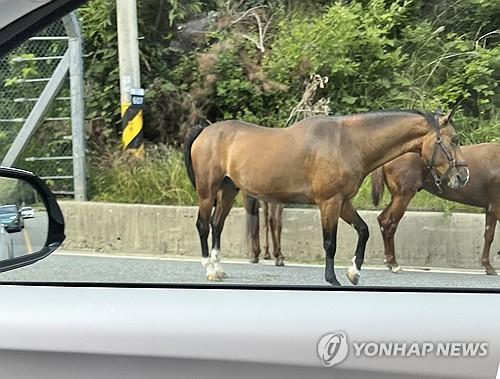 연합뉴스