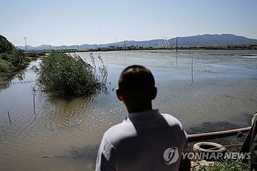 연합뉴스