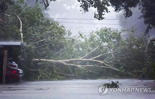 연합뉴스