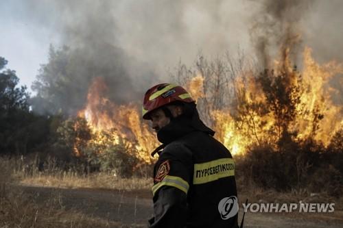 연합뉴스