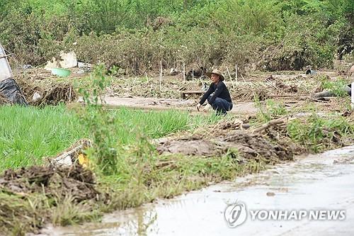 연합뉴스