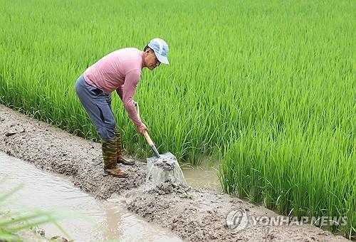 연합뉴스