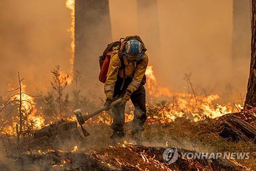 연합뉴스