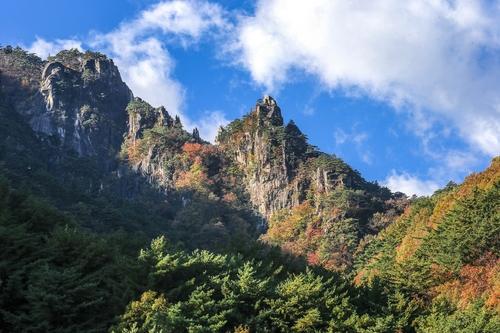 연합뉴스