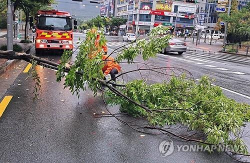 연합뉴스