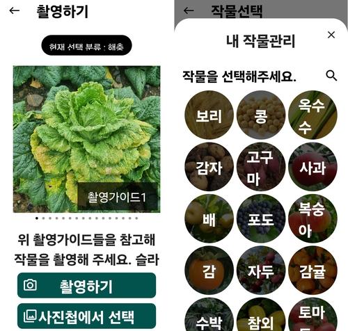 연합뉴스