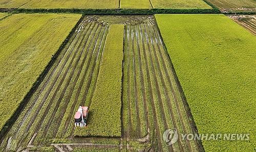 연합뉴스