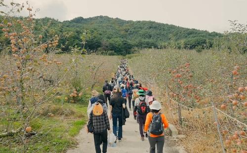 연합뉴스