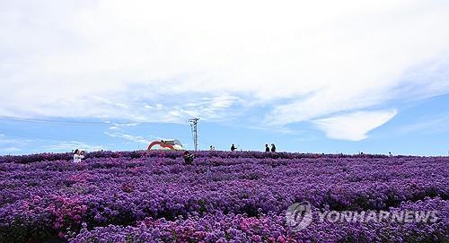 연합뉴스