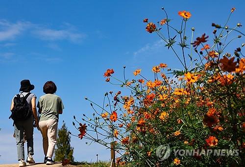 연합뉴스