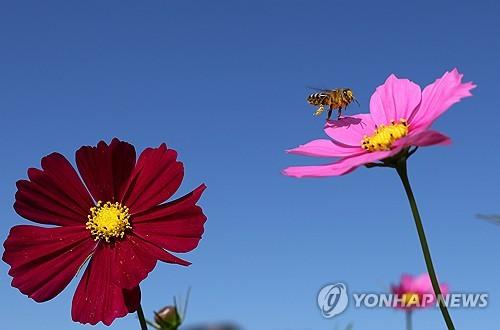 연합뉴스