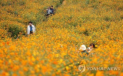 연합뉴스