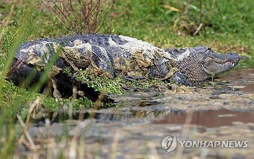 연합뉴스