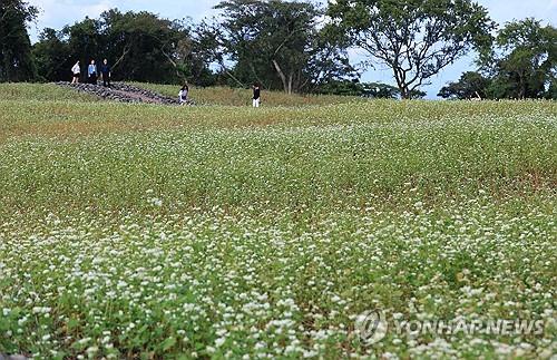 연합뉴스