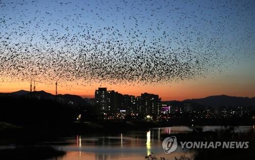 연합뉴스