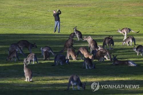 연합뉴스