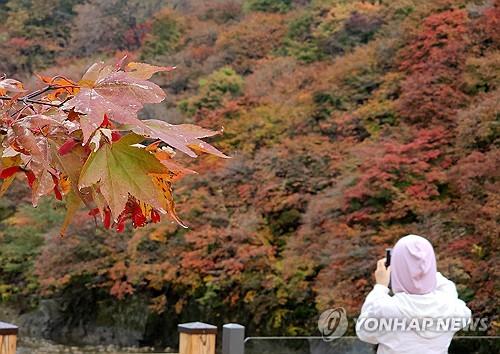 연합뉴스