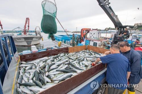 연합뉴스