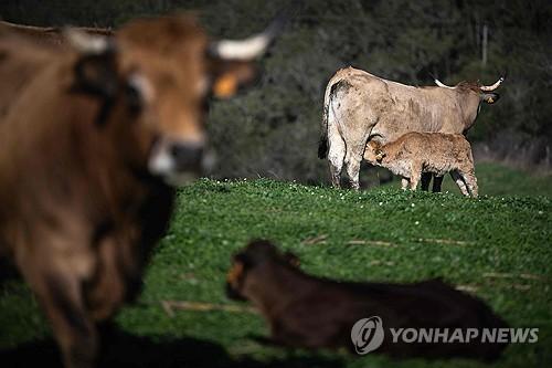 연합뉴스