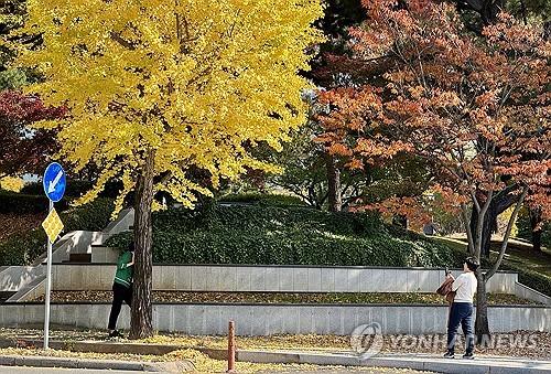 연합뉴스