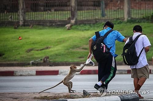 연합뉴스