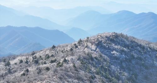 연합뉴스