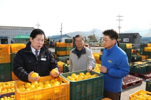 연합뉴스