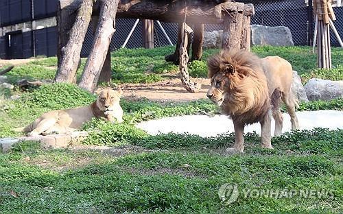 연합뉴스