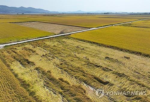 연합뉴스