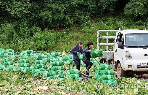 연합뉴스