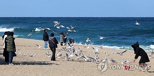 연합뉴스