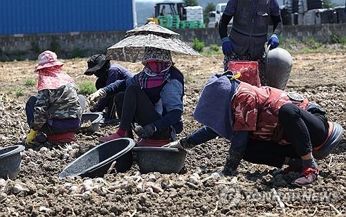 연합뉴스