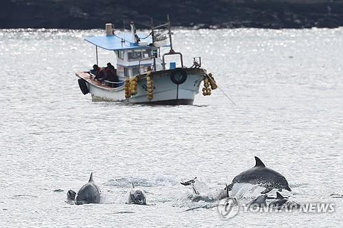 연합뉴스