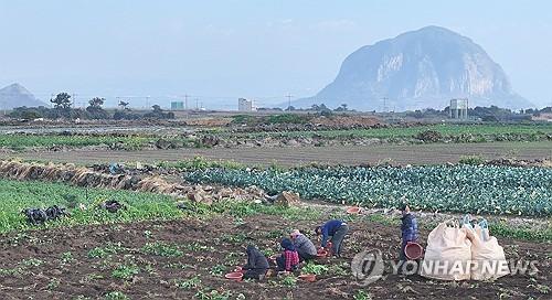 연합뉴스