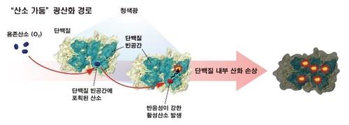 연합뉴스