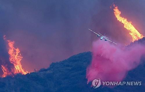 연합뉴스