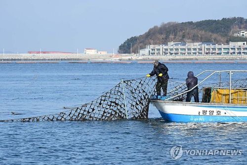연합뉴스