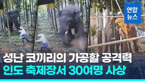 연합뉴스