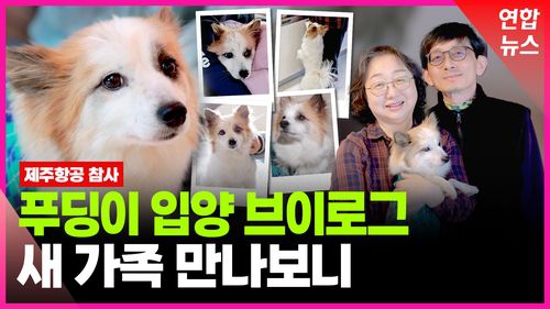 연합뉴스