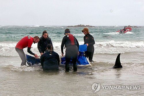 연합뉴스