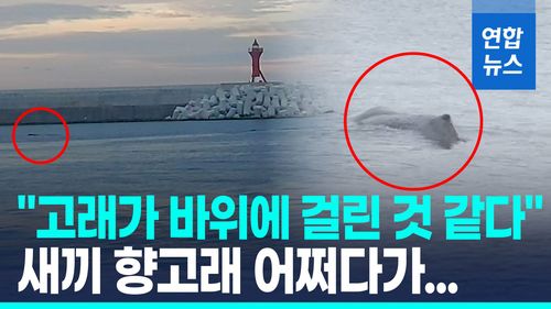 연합뉴스