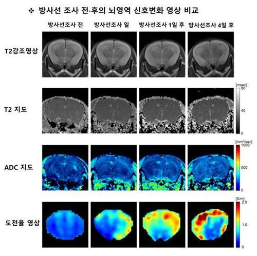 라포르시안