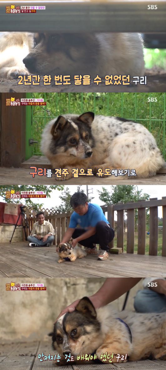 SBS 'TV 동물농장-우린 같이 산다' 방송 캡처