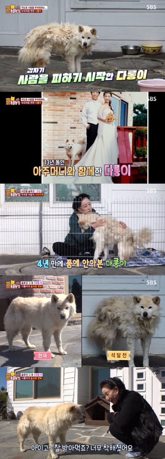 SBS 'TV 동물농장-우린 같이 산다' 방송 캡처