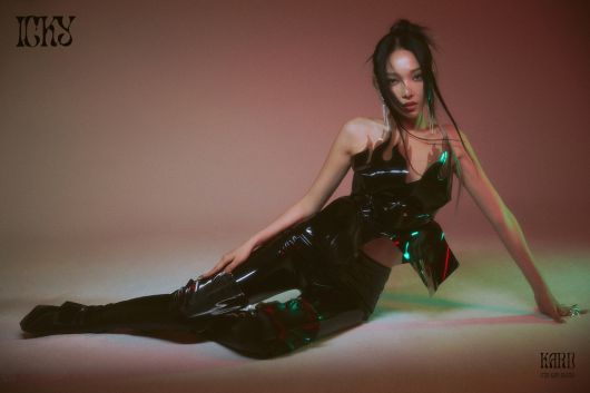 DSP미디어&알비더블유(RBW) 제공