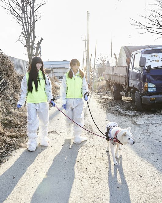 버스터즈 타카라-나미