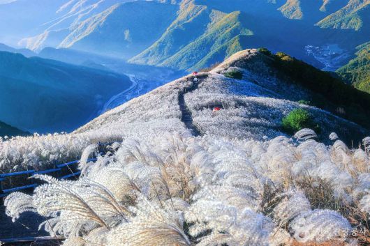 (ⓒ한국관광공사) 민둥산