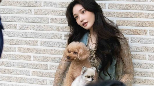 사진 모어비전 제공